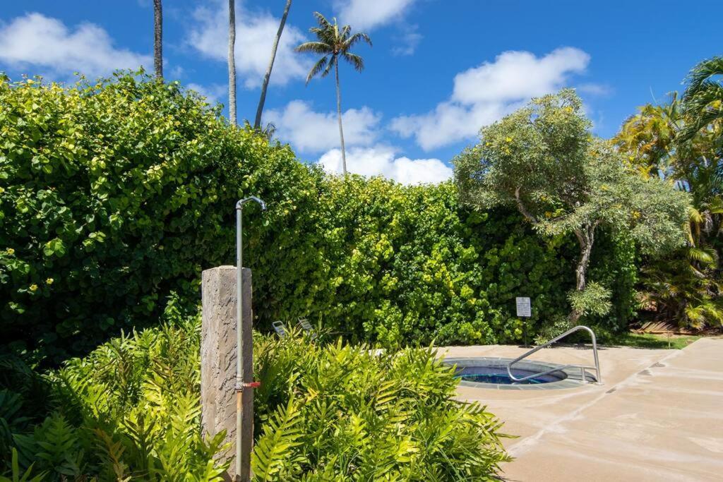 Lovely 1 Bedroom With Kitchen, Free Wifi & Parking Kapa'a Eksteriør billede